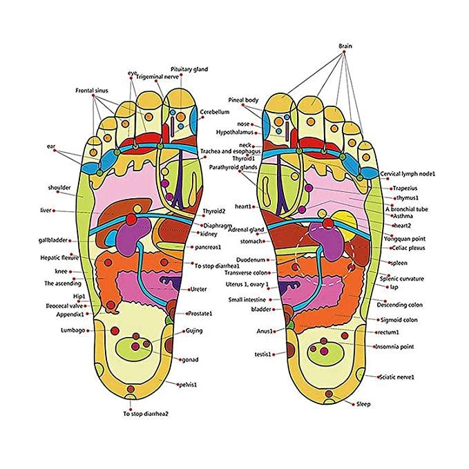 Acupressure Foot Massage Slippers